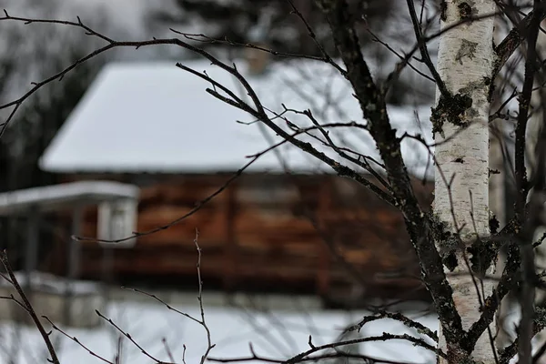 house in forest Winter