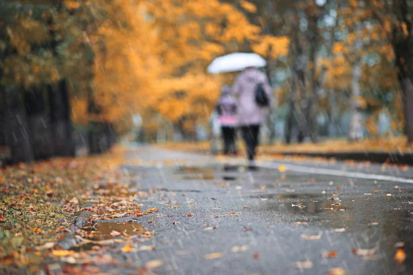 Őszi eső a parkban — Stock Fotó