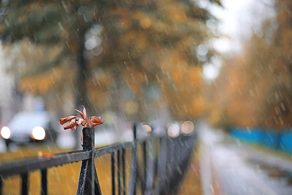 Pluie d'automne dans le parc — Photo