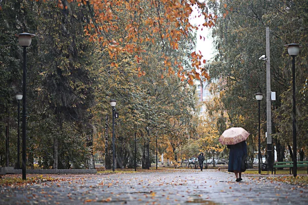 Осінній дощ у парку — стокове фото