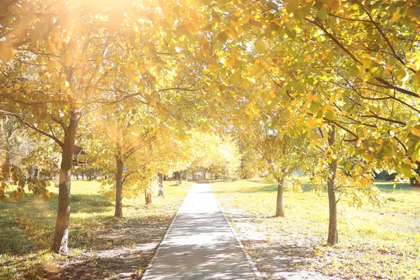 Achtergrond van de herfst in het park — Stockfoto