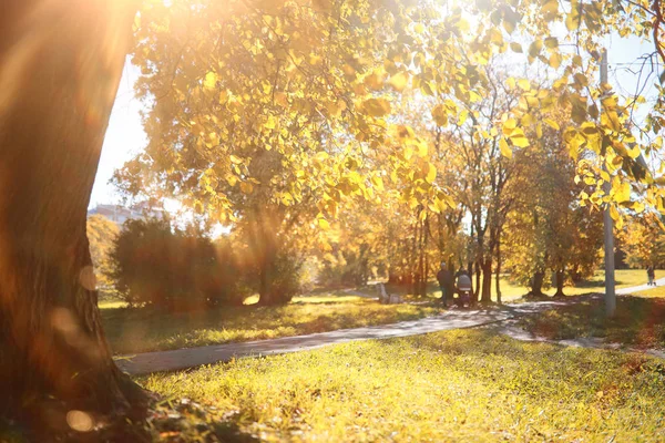 Herbst Hintergrund im Park — Stockfoto