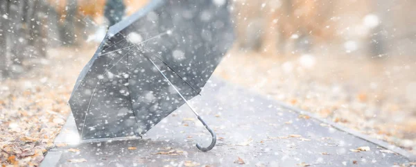 Baggrund efterårspark i den første sne - Stock-foto