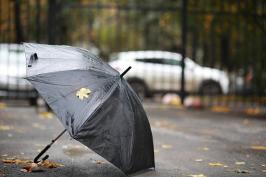 Parkta sonbahar arka plan