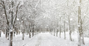 Kar altında kış parkı. Şehir parkında kar fırtınası. Park et!