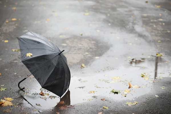 Achtergrond van de herfst in het park — Stockfoto