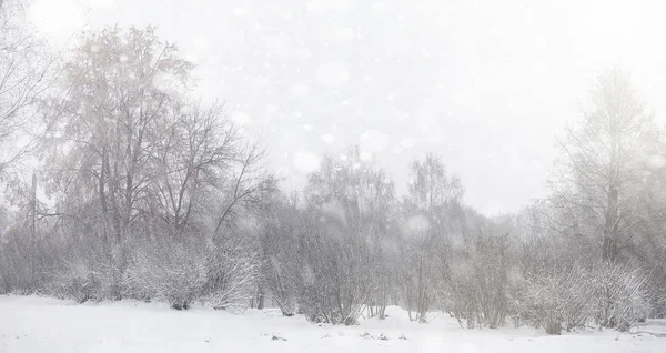 Parque de invierno cubierto de nieve y bancos. Parque y muelle para alimentación — Foto de Stock