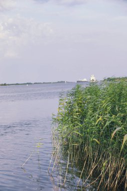Göl manzara. Su doku. Şafakta gölüdür. Ağız