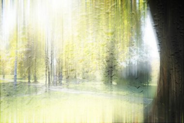 Yağmurlu bir günde sonbahar parkının bulanık görüntüsü 