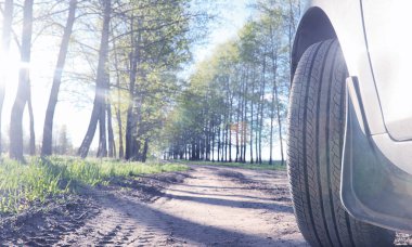 Yatay yaz mevsimindeyiz. Yeşil ağaç ve otların arasında kırsal arazi