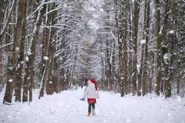 Bir kış masal, genç bir anne ve kızı bir kızak sürmek