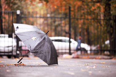 Ekim ayında sonbahar yağmurlu park afternoo