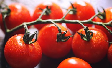 Dal taze kiraz domates ile. Olgun kırmızı domates.