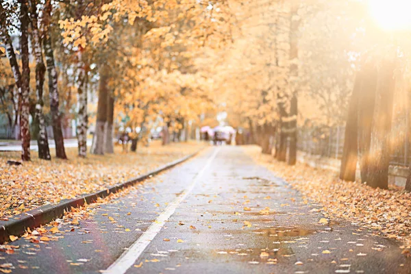 Autumn rain in the park — Stock Photo, Image