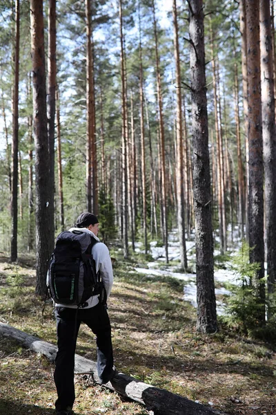 Člověk je jako turista v borovém lese s batohem. A turistické tr — Stock fotografie