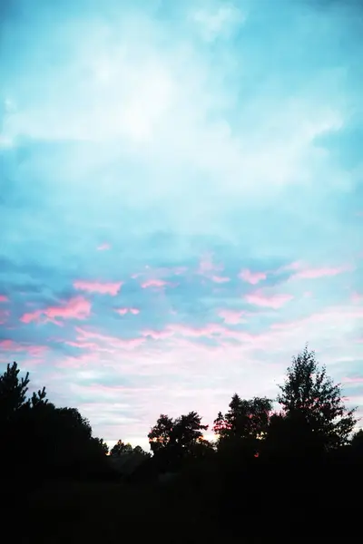 Spring Sunset Forest Pink Blue Clouds Sunset — Stock Photo, Image