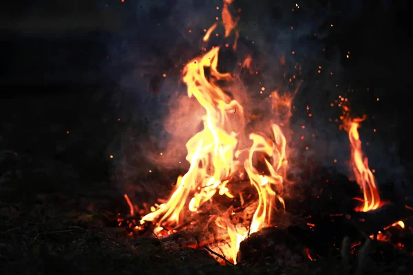 Brasa Naturen Läger Elden Med Eld Och Kol — Stockfoto