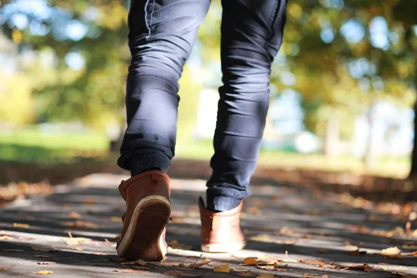 Achtergrond van de herfst in het park — Stockfoto