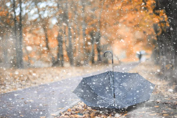 Parque de otoño en la primera nieve —  Fotos de Stock