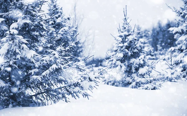 Landschap in de winterdag — Stockfoto