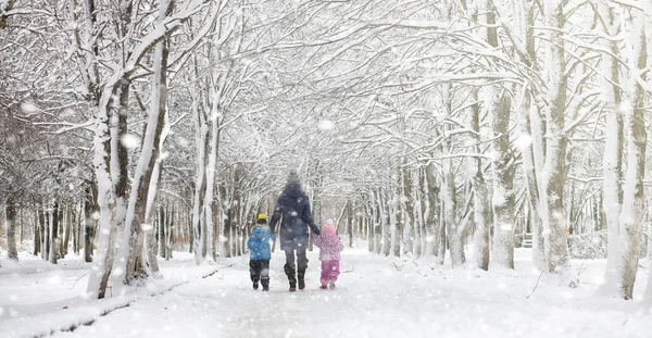 Zimowy park pod śniegiem. Burza śnieżna w parku miejskim. Park f — Zdjęcie stockowe