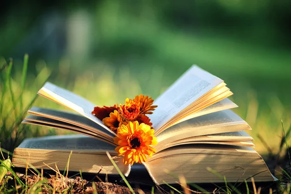 Open book with flower on grass — Stock Photo, Image