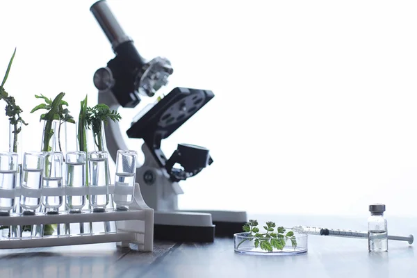 Microscope and partings on the table in the laboratory. Study on GMOs in greens.