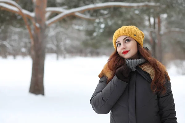 Hermosa chica en un hermoso parque de invierno —  Fotos de Stock