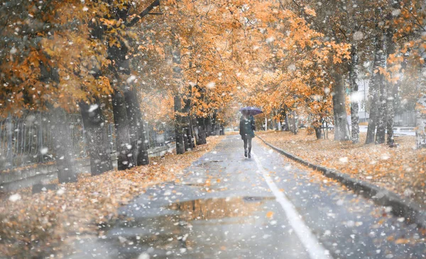 Parque de otoño en la primera nieve —  Fotos de Stock