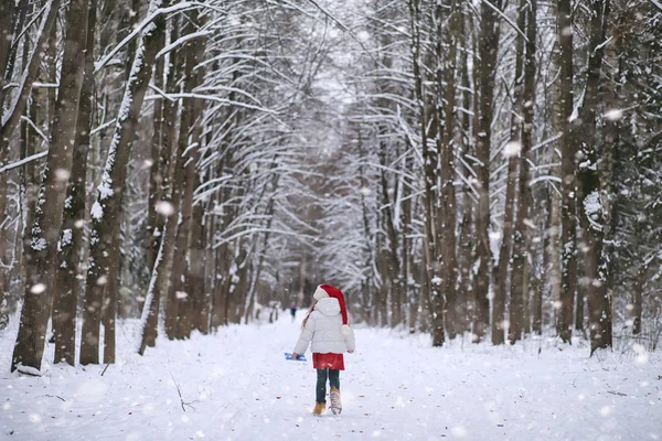 Bir kış masal, genç bir anne ve kızı bir kızak sürmek