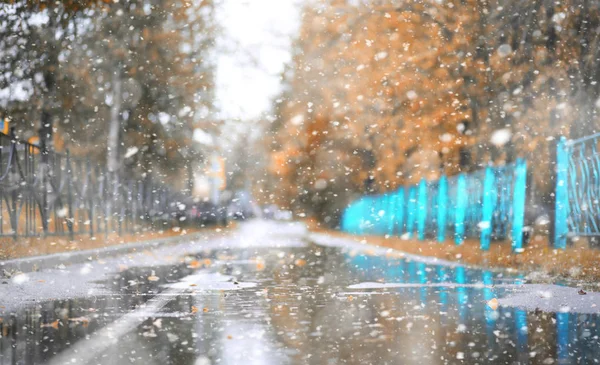 Herfstpark in de eerste sneeuw — Stockfoto