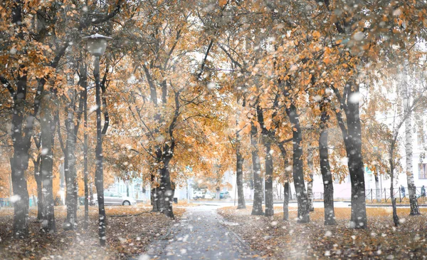 Sno Günlerinde Sonbahar Parkı — Stok fotoğraf