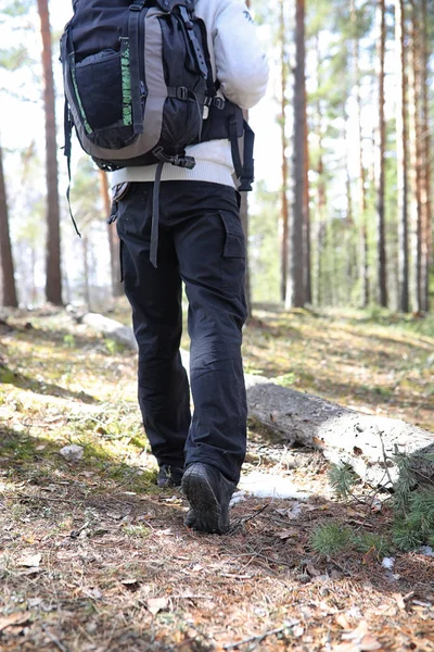 Člověk je jako turista v borovém lese s batohem. A turistické tr — Stock fotografie