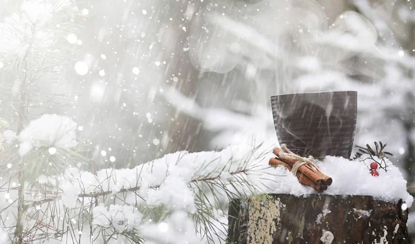 A cup with a hot drink in the winter forest. Hot cocoa with cinn — Stock Photo, Image