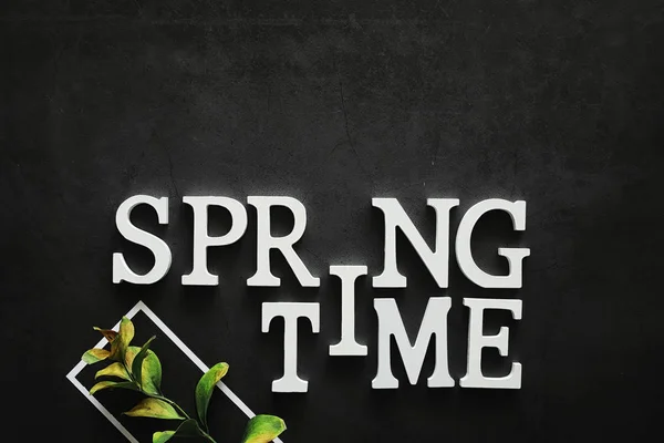 Affisch Koncept Mörk Bakgrund Inskriptionen Våren — Stockfoto