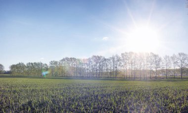 Yatay yaz mevsimindeyiz. Yeşil ağaç ve otların arasında kırsal arazi