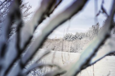 Ormandaki Kış Nehri