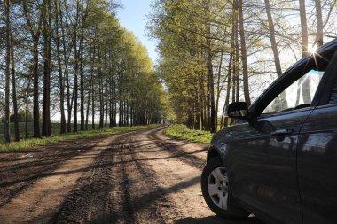Yatay yaz mevsimindeyiz. Yeşil ağaç ve otların arasında kırsal arazi