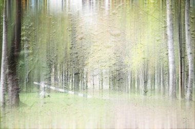 Parkta arka plan bahar yağmuru