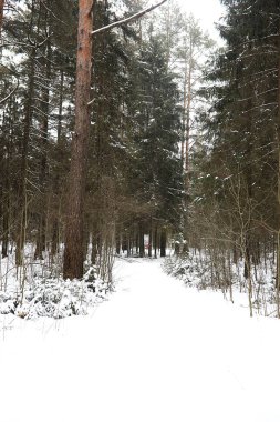 Kırsal alanların ve yolların kış manzarası