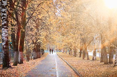 parkta sonbahar yağmur