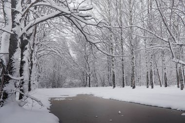 Karla kaplı Kış park ve banklar. Park ve beslenme için pier 