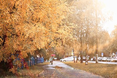 parkta sonbahar yağmur