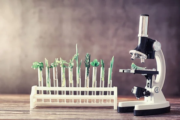 Microscópio Peças Mesa Laboratório Estudo Sobre Ogm Verduras — Fotografia de Stock
