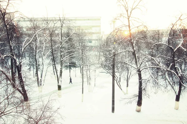 Paesaggio sentiero inverno — Foto Stock