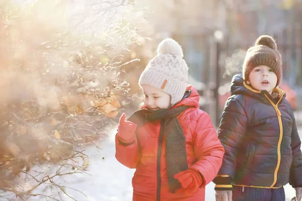 Crianças no parque de inverno jogar — Fotografia de Stock