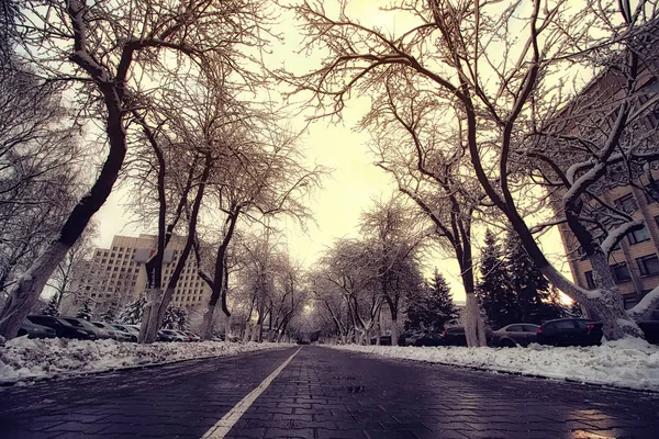 Pedestre caminho árvore inverno — Fotografia de Stock