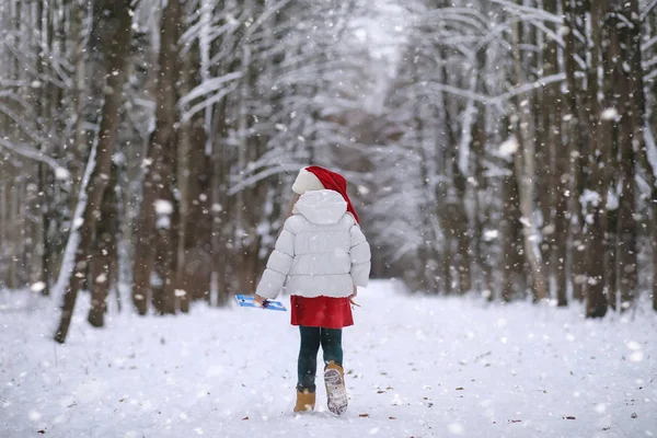 Bir kış masal, genç bir anne ve kızı bir kızak sürmek