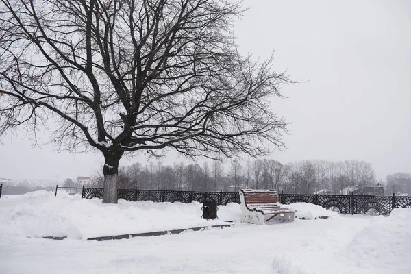 Winter city landscape. Winter park covered with snow. A bench un