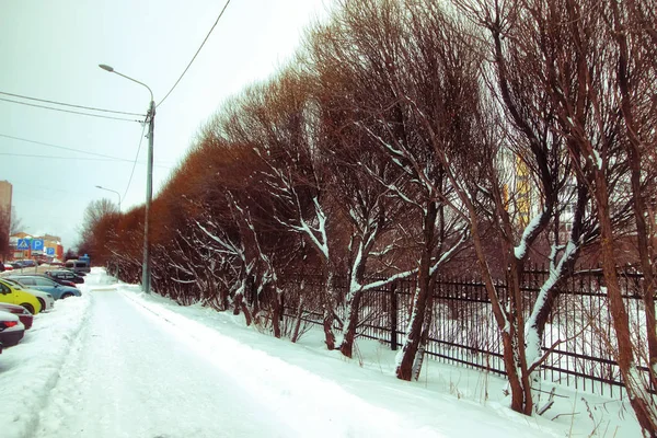 Winter rustieke weg zonlicht — Stockfoto